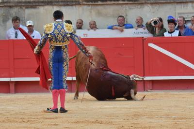 Feria de Pentecote 2025-stock-photo
