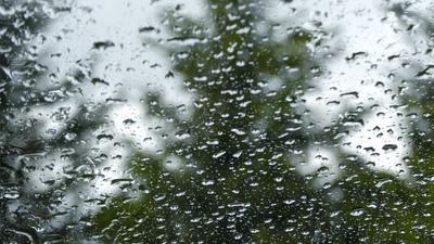 Der Herbst m?ge bitte aus dem Sommer abgeholt werden. Sturm, Regen und K?lte - der Pfingstsonntag f?llt dieses Jahr ins-stock-photo