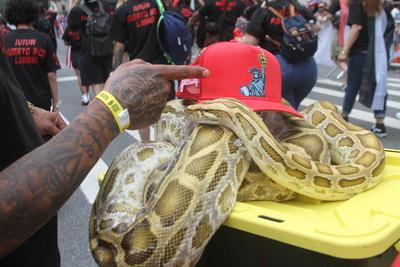 2025 puerto rican day parade in new york.-stock-photo