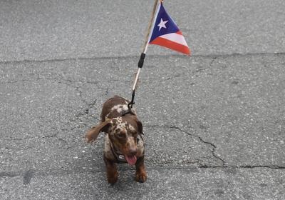 2025 puerto rican day parade in new york.-stock-photo