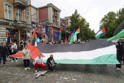 Demonstranten mit Palaestinenser Fahnen Banner und Schildern Ca. 200 Palaestinenser und Unterstuetzer demonstrierten vor der Roten Flora gegen Israel und den Krieg im Gaza Streifen.Die Rote Flora Anh?nger hatten sich immer wieder solidarisch mit Israel gezeigt. Die Polizei war mit zahlreichen Kr?ften anwesend. Hamburg Deutschland *** Demonstrators with Palestinian flags banners and signs Approximately 200 Palestinians and supporters demonstrated in front of the Rote Flora against Israel and the war in the Gaza Strip The Rote Flora supporters had repeatedly shown solidarity with Israel The police were present with numerous forces Hamburg Germany-stock-foto