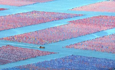 Oyster Farming in Ningde-stock-foto