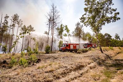Bilder des Jahres 2023, News June 06 News Themen der Woche KW22 News Bilder des Tages Waldbrand in J?terbog breitet sich-stock-foto
