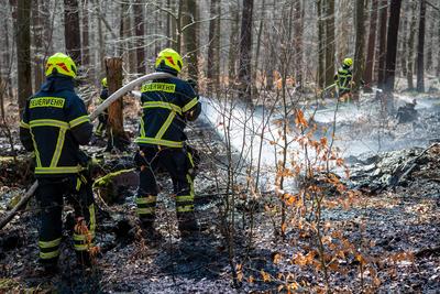 Waldbrandgefahr, 05.04.2020, im Rochlitzer Bergwald kommt es an einem Wanderweg zu einem kleinen Waldbrand. Auf einer F-stock-foto