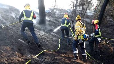 Bei den schlimmen Waldbr?nden in Griechenland helfen weiterhin Deutsche Feuerwehrleute beim L?schen. Das Spezialteam au-stock-foto