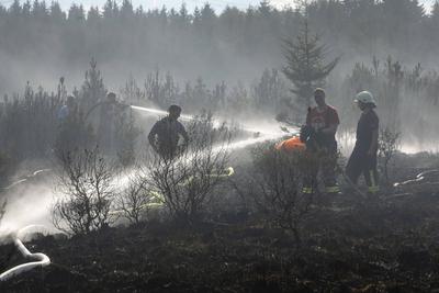 ID 656 Am fr?hen Abend bemerkten die Kameraden der Freiwilligen Feuerwehr Satzung im Erzgebirgskreis einen Brand im ben-stock-foto