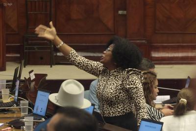 SESION ASAMBLEA LEY DERECHOS ANIMALES-stock-foto