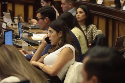 SESION ASAMBLEA LEY DERECHOS ANIMALES-stock-foto