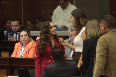 SESION ASAMBLEA LEY DERECHOS ANIMALES-stock-foto