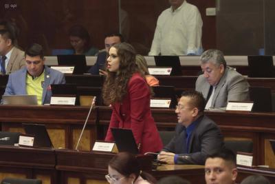 SESION ASAMBLEA LEY DERECHOS ANIMALES-stock-foto