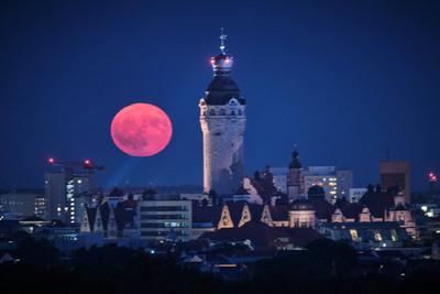 Erdbeermond-stock-foto