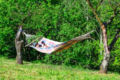 lesen,h?ngematte,h?ngematten ** reading,hammock,read,reading a book,reading something,to read,hammocks 6z6-fze ,model re-stock-foto