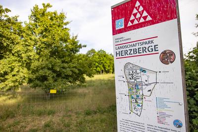 Landschaftspark Herzberge in Lichtenberg in Berlin am 31. Mai 2023. Nicht nur Hasenhaide: Berliner Parks *** Landscape P-stock-photo