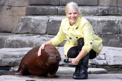 Ina Mueller bei der Taufe von Deutschlands erstem Walross-Nachwuchs am 1. Oktober 2014 in Hagenbeck Tierpark. *** Ina Mu-stock-foto