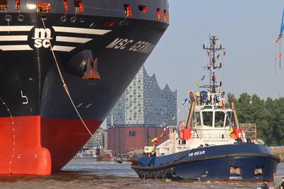 Der Containerfrachter MSC Germany liegt vor den Landungbr?cken im Hamburger Hafen. *** The container freighter MSC Germa-stock-foto