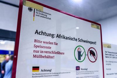 Hinweis zur afrikanischen Schweinepest vor der Tier-Halle anl?sslich der 85. Internationale Gr?ne Woche Berlin, Messe f-stock-photo