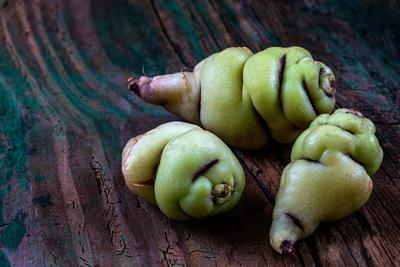 Three tubers in close-up on a green background. Tuberose nasturtium (Tropaeasum tuberosum) ancient vegetable 016384_052-stock-foto