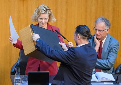 20250617 32. Sitzung des Nationalrats-stock-foto