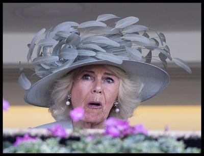 Royal Ascot-stock-photo