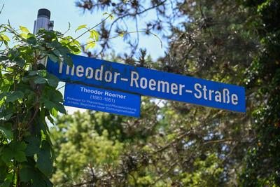 Halle (Saale) - Gro?razzia am fr?hen Morgen: Verd?chtiger IS-Terrorist festgenommen-stock-photo