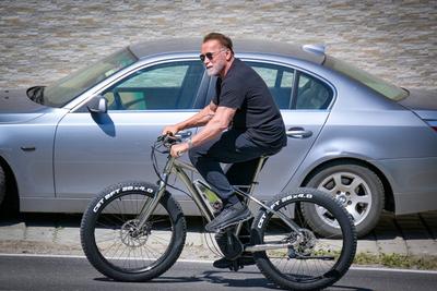 Arnold Schwarzenegger besucht Heimatgemeinde in der Steiermark, ?sterreich, Europa, Arnold Schwarzenegger, Hollywood-Sta-stock-foto