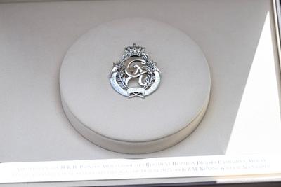 King presents standard to the Princess Catharina-Amalia Hussar Regiment, Amersfoort, The Netherlands-stock-foto