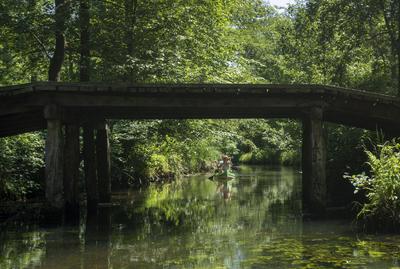 Spreewald: Allein in schönster Natur Ein Kanu (Canadier) unterwegs im Spreewald. Nach der Lockerung der Corona-Beschränk-stock-foto