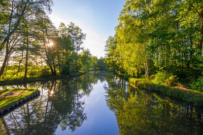Fruehling im Spreewald-stock-foto