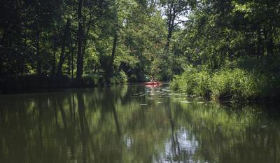 Spreewald: Allein in schönster Natur Ein Kajak unterwegs im Spreewald. Nach der Lockerung der Corona-Beschränkungen in B-stock-foto
