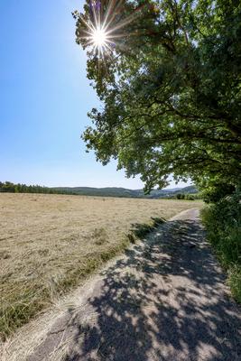 Heuernte im Siegerland-stock-foto