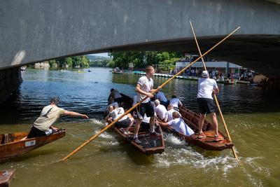 GER, Tuebinger Stocherkahnrennen, Traditionelles Fest, Auf dem Neckar, Socherkahn, 19.06.2025-stock-foto