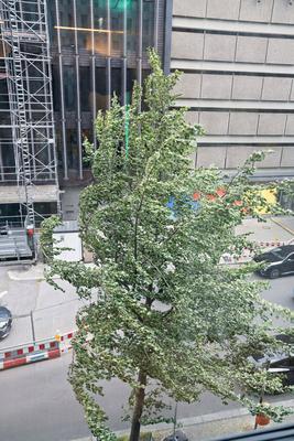 23.06.2025,Berlin,ein Orkan tobt ?ber Berlin,Orkanartige B?en haben am Nachmittag f?r Aufregung in der Hauptstadt gesorg-stock-foto