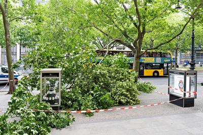 23.06.2025,Berlin,ein Orkan tobt ?ber Berlin,Orkanartige B?en haben am Nachmittag f?r Aufregung in der Hauptstadt gesorg-stock-foto