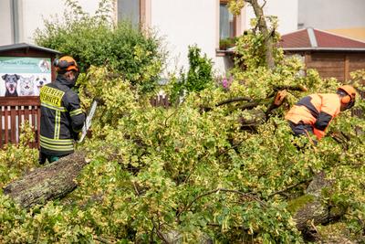 Unwetter ?ber Einsiedel sorgt f?r zahlreiche Sturmsch?den / Feuerwehr im Gro?einsatz / Sch?den an Bahnstrecke und Gynasium Einsiedel-stock-foto
