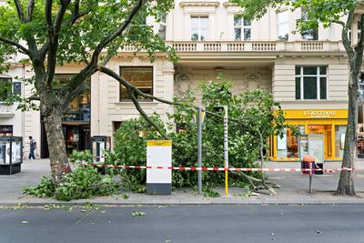 23.06.2025,Berlin,ein Orkan tobt ?ber Berlin,Orkanartige B?en haben am Nachmittag f?r Aufregung in der Hauptstadt gesorg-stock-foto