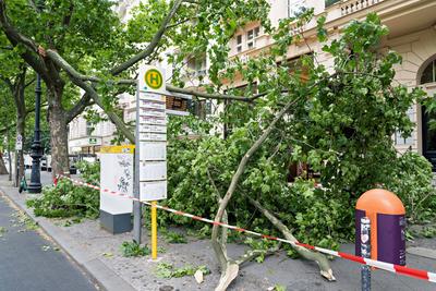 23.06.2025,Berlin,ein Orkan tobt ?ber Berlin,Orkanartige B?en haben am Nachmittag f?r Aufregung in der Hauptstadt gesorg-stock-foto