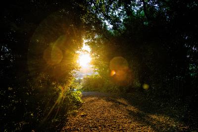 Sonnenaufgang ?ber dem Siebengebirge 24.06.2025-stock-foto