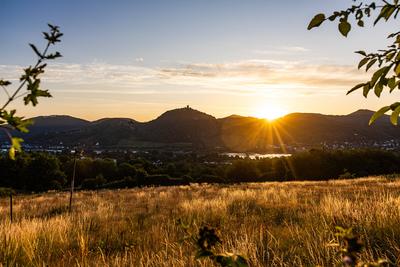 Sonnenaufgang ?ber dem Siebengebirge 24.06.2025-stock-foto