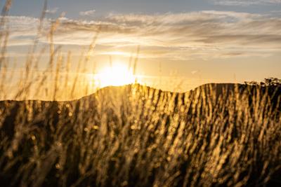 Sonnenaufgang ?ber dem Siebengebirge 24.06.2025-stock-foto