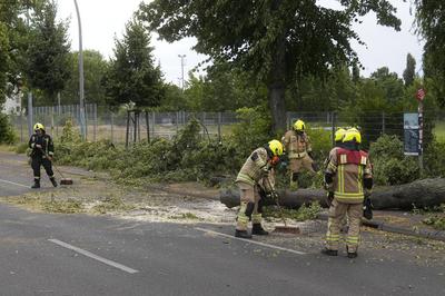 Sturmsch?den-stock-foto