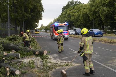 Sturmsch?den-stock-foto