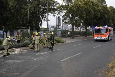 Sturmsch?den-stock-foto