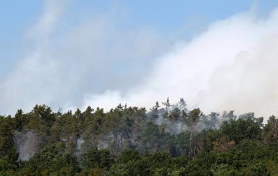 Waldbrand in Wendelstein , Zahlreiche Feuerwehr im Einsatz , in Wendelstein , Bayern , Deutschland . Juni 24, 2025 . Pho-stock-foto