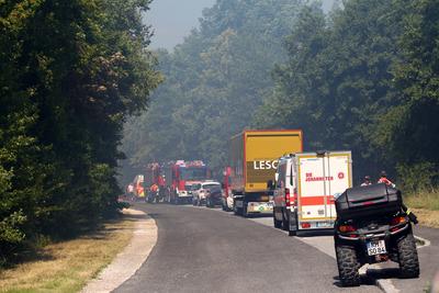 Waldbrand in Wendelstein , Zahlreiche Feuerwehr im Einsatz , in Wendelstein , Bayern , Deutschland . Juni 24, 2025 . Pho-stock-foto