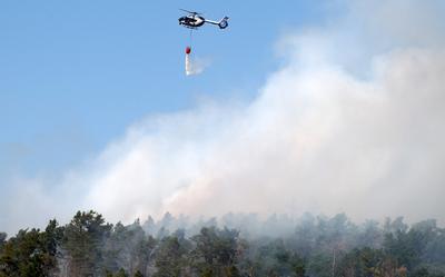 Waldbrand in Wendelstein , Zahlreiche Feuerwehr im Einsatz , in Wendelstein , Bayern , Deutschland . Juni 24, 2025 . Pho-stock-foto