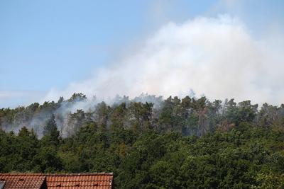 Waldbrand in Wendelstein , Zahlreiche Feuerwehr im Einsatz , in Wendelstein , Bayern , Deutschland . Juni 24, 2025 . Pho-stock-foto