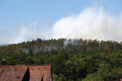 Waldbrand in Wendelstein , Zahlreiche Feuerwehr im Einsatz , in Wendelstein , Bayern , Deutschland . Juni 24, 2025 . Pho-stock-foto