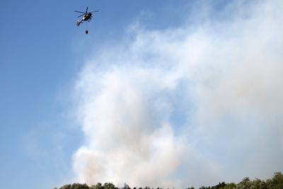 Waldbrand in Wendelstein , Zahlreiche Feuerwehr im Einsatz , in Wendelstein , Bayern , Deutschland . Juni 24, 2025 . Pho-stock-foto
