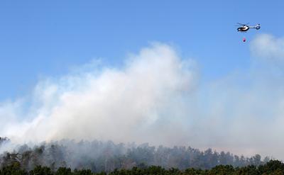 Waldbrand in Wendelstein , Zahlreiche Feuerwehr im Einsatz , in Wendelstein , Bayern , Deutschland . Juni 24, 2025 . Pho-stock-foto