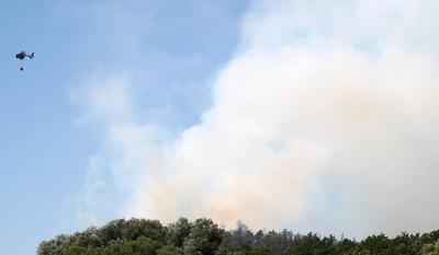 Waldbrand in Wendelstein , Zahlreiche Feuerwehr im Einsatz , in Wendelstein , Bayern , Deutschland . Juni 24, 2025 . Pho-stock-foto